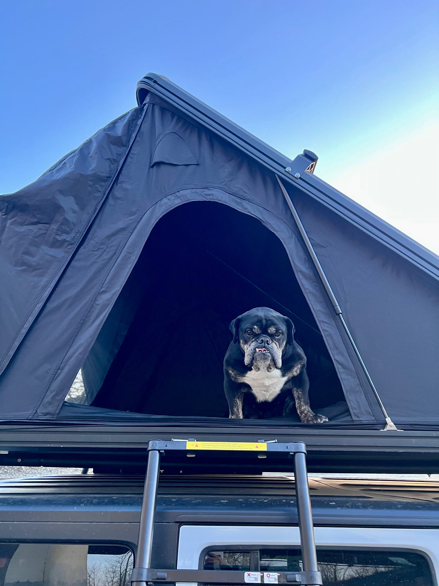 NorthPaw APEX Hard Shell Rooftop Tent