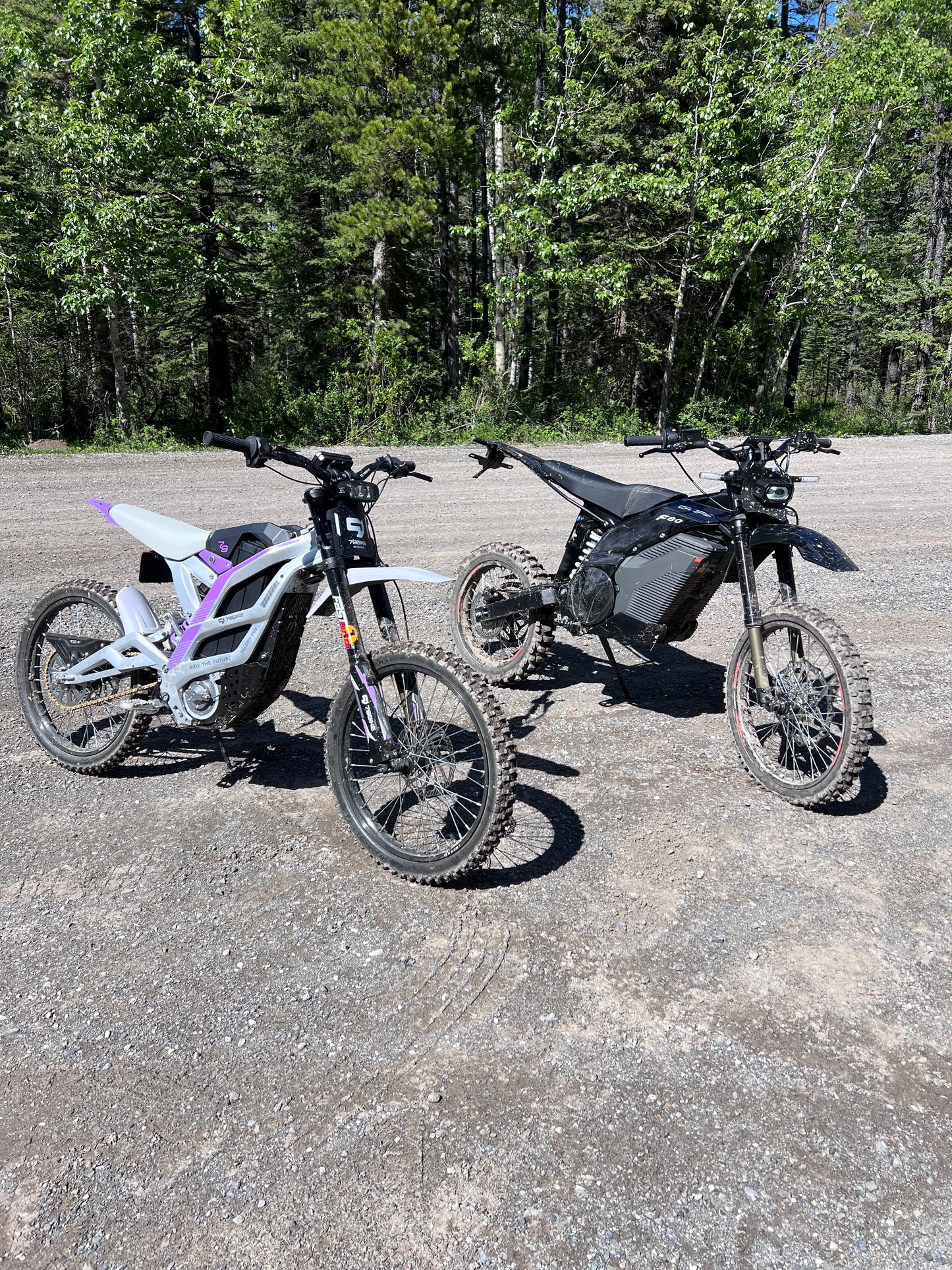 EMMO - 79Bike Falcon Pro