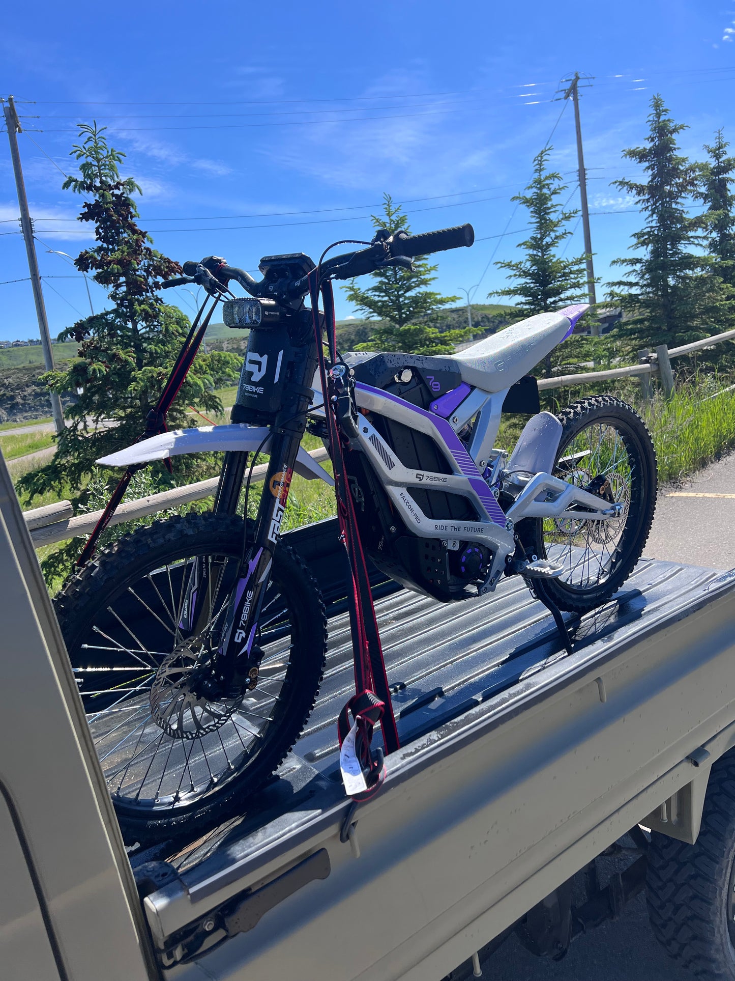 EMMO - 79Bike Falcon Pro